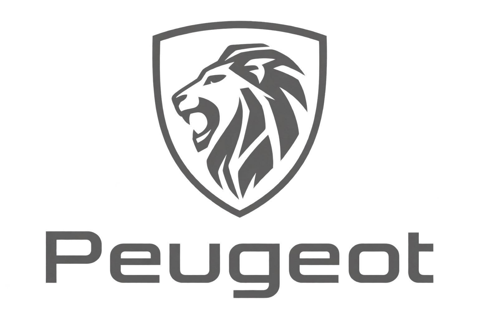 Peugeot araç ekran koruyucu ürünleri